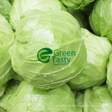 Hot Sell Fresh Whole Cabbage in High Quality